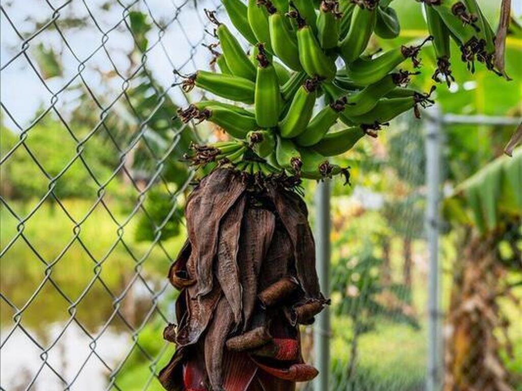 990 Harbor Pines Drive, Merritt Island, FL 32952