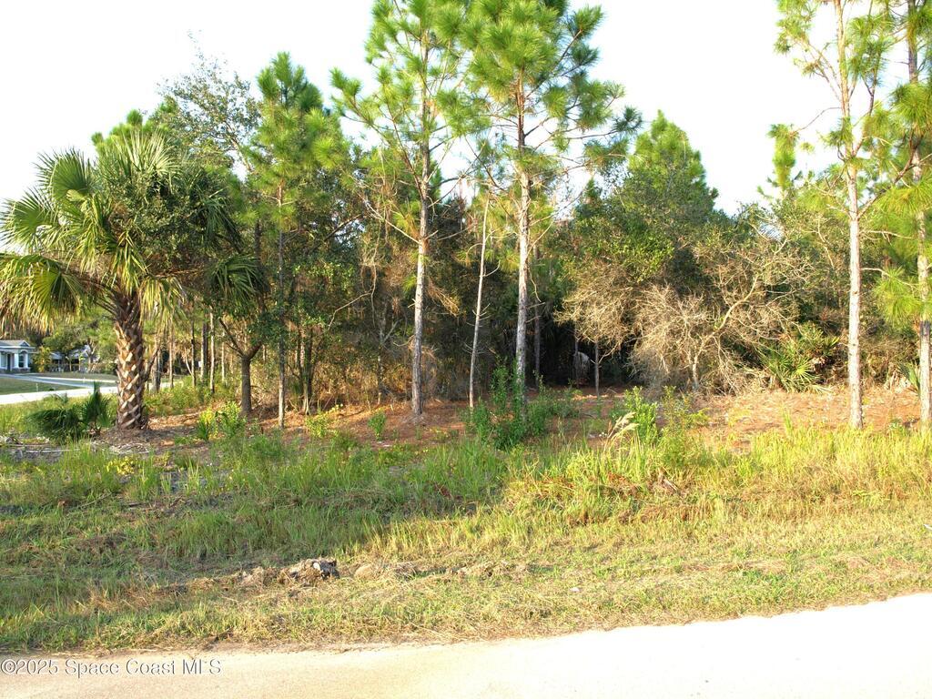 1615 Tigard Street, Palm Bay, FL 32909