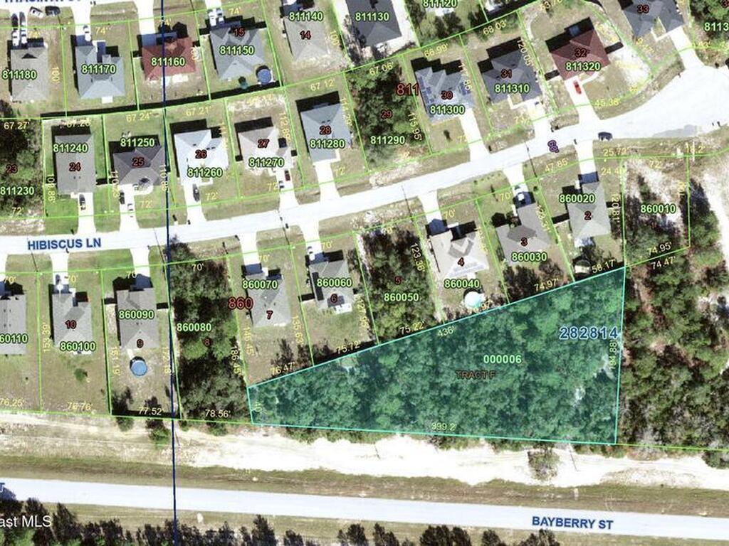 Bayberry Street, Poinciana, FL 34759