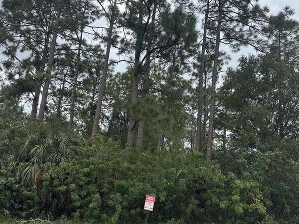 1756 Agora Circle, Palm Bay, FL 32909