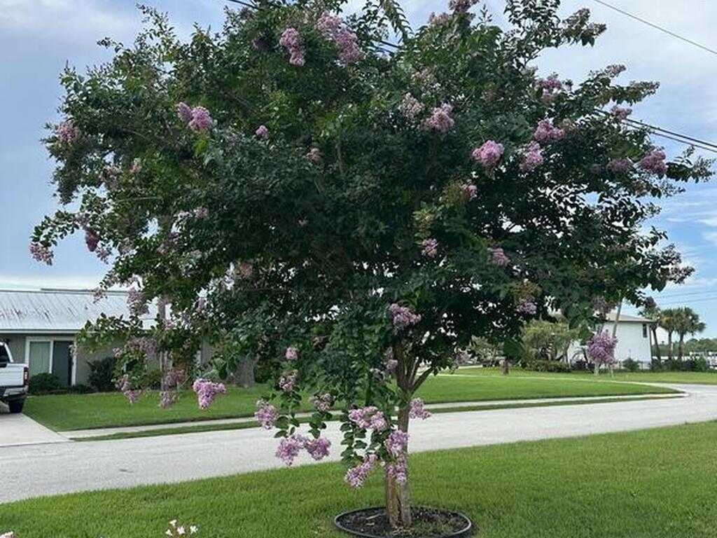 1100 S Riverside Drive, Edgewater, FL 32132