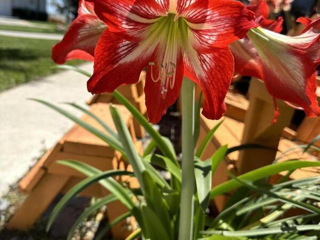 1100 S Riverside Drive, Edgewater, FL 32132