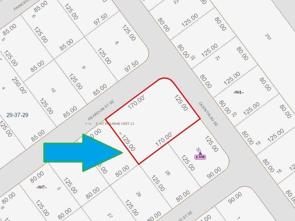 890 Double Lot On Reardon Street, Palm Bay, FL 32909