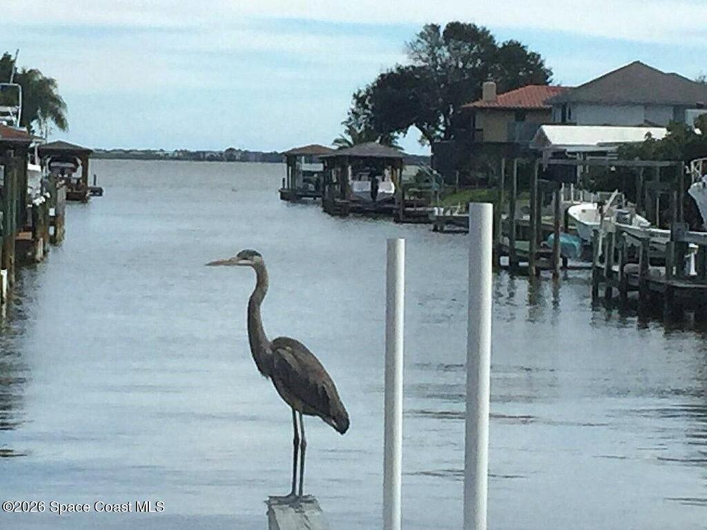 1710 Westport Road, Merritt Island, FL 32952