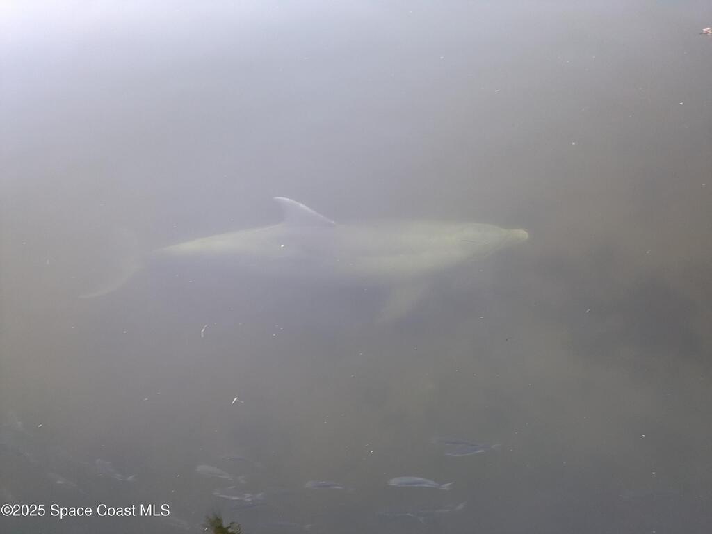 456 Carmine Drive, Cocoa Beach, FL 32931