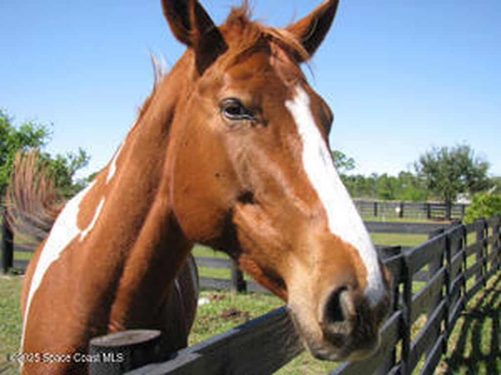 324 Pinto Lane, Palm Bay, FL 32909