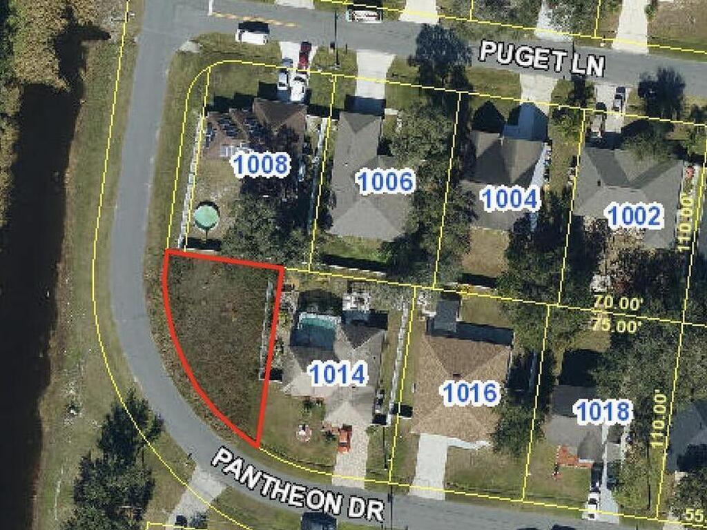 Pantheon Drive, Kissimmee, FL 34759