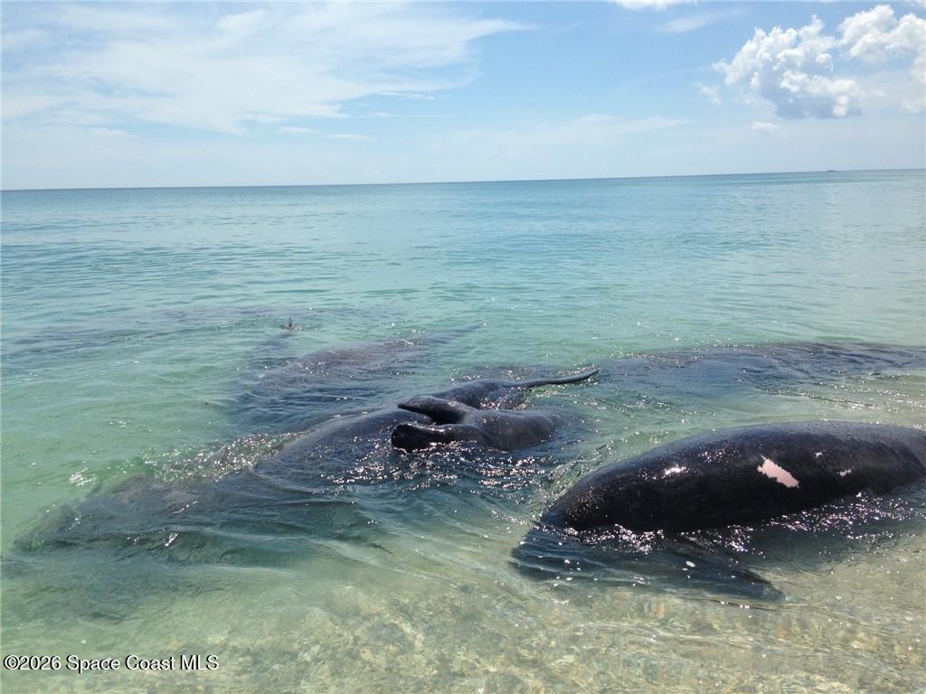 9255 Highway A1a, Melbourne Beach, FL 32951