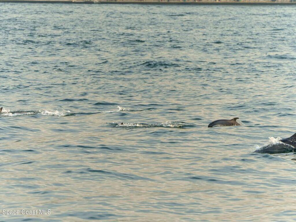 2880 S Atlantic Avenue, Cocoa Beach, FL 32931