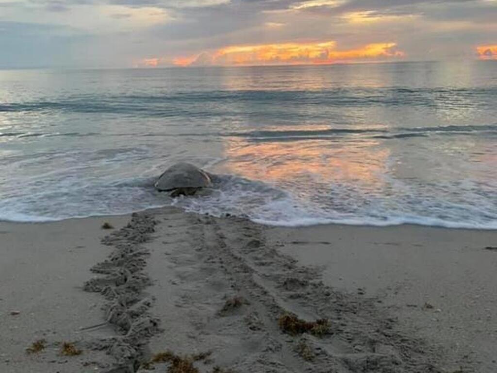 6710 Highway A1a, Melbourne Beach, FL 32951