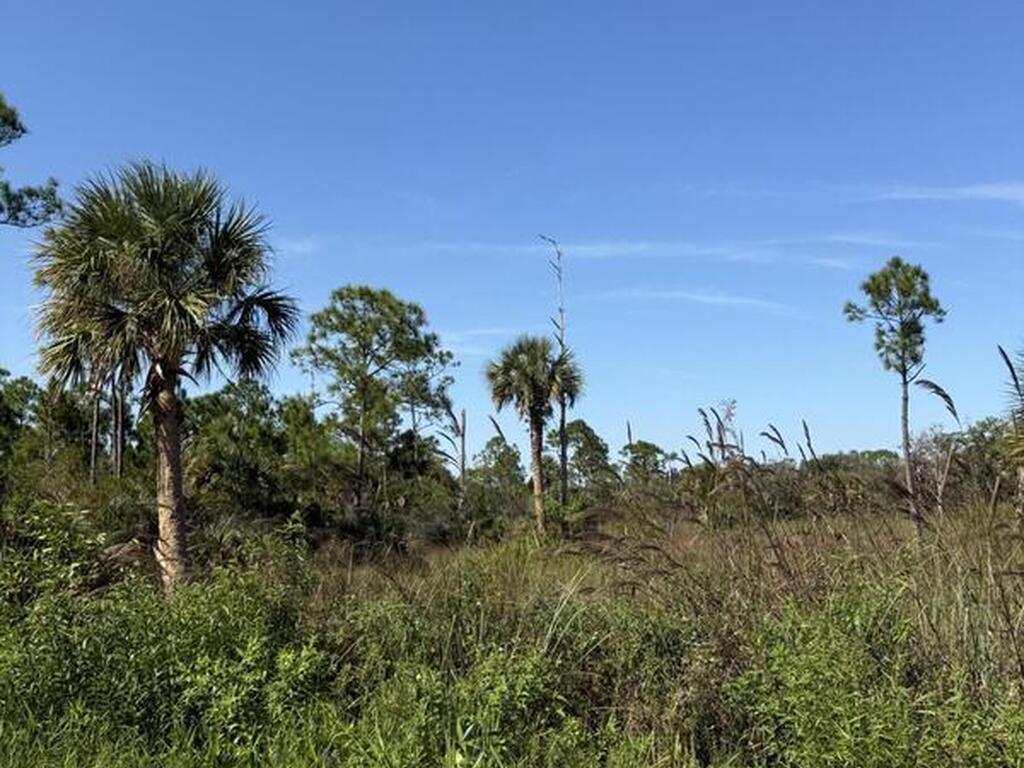 Xxx Unknown, Malabar, FL 32950