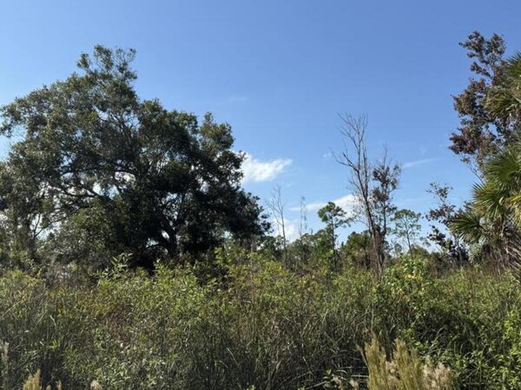 Xxx Unknown, Malabar, FL 32950