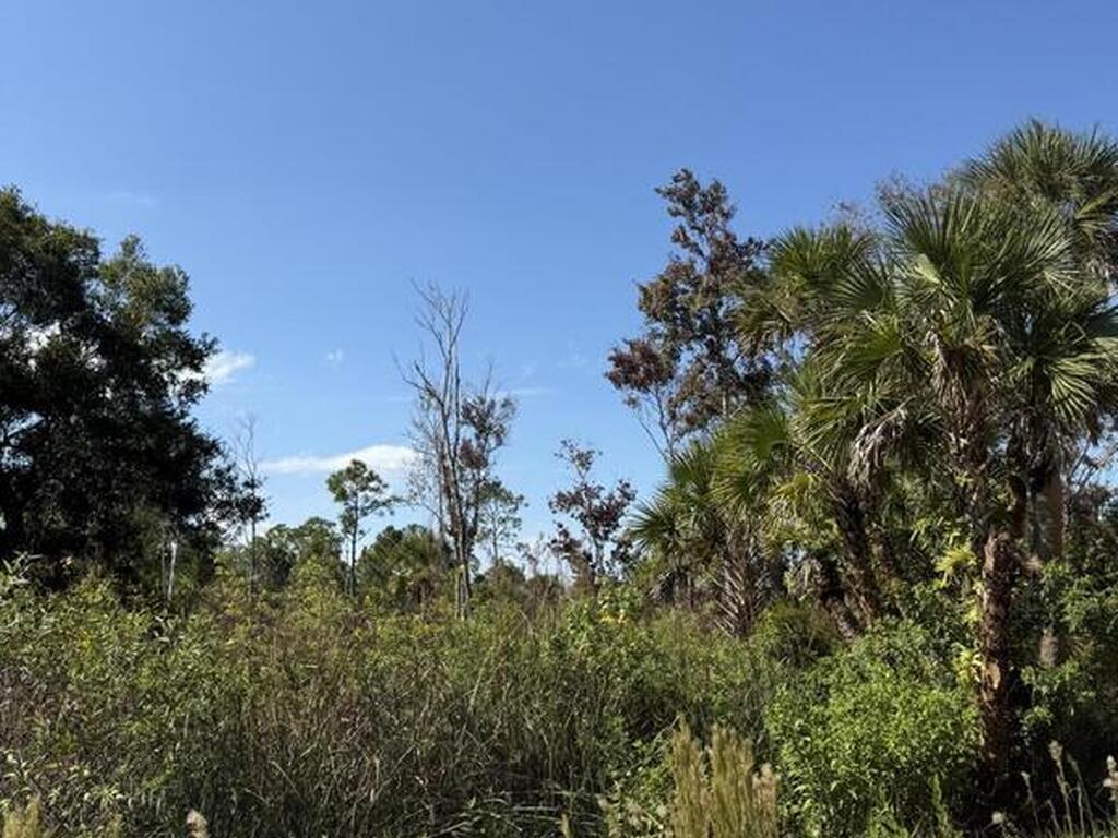 Xxx Unknown, Malabar, FL 32950