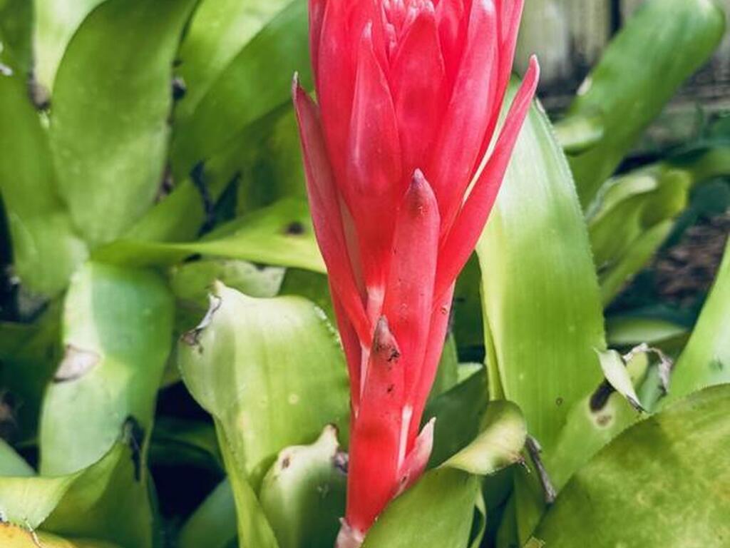 4618 Katy Drive, New Smyrna Beach, FL 32169