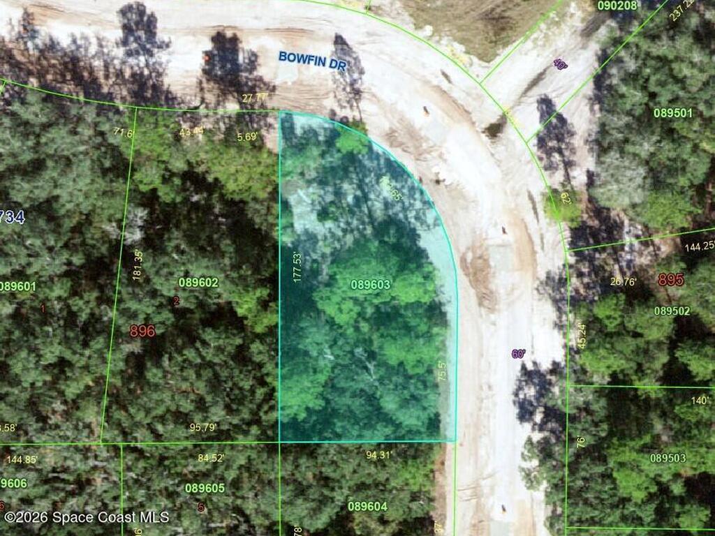 Bowfin (Inside Ne Curve) Drive, Poinciana, FL 34759