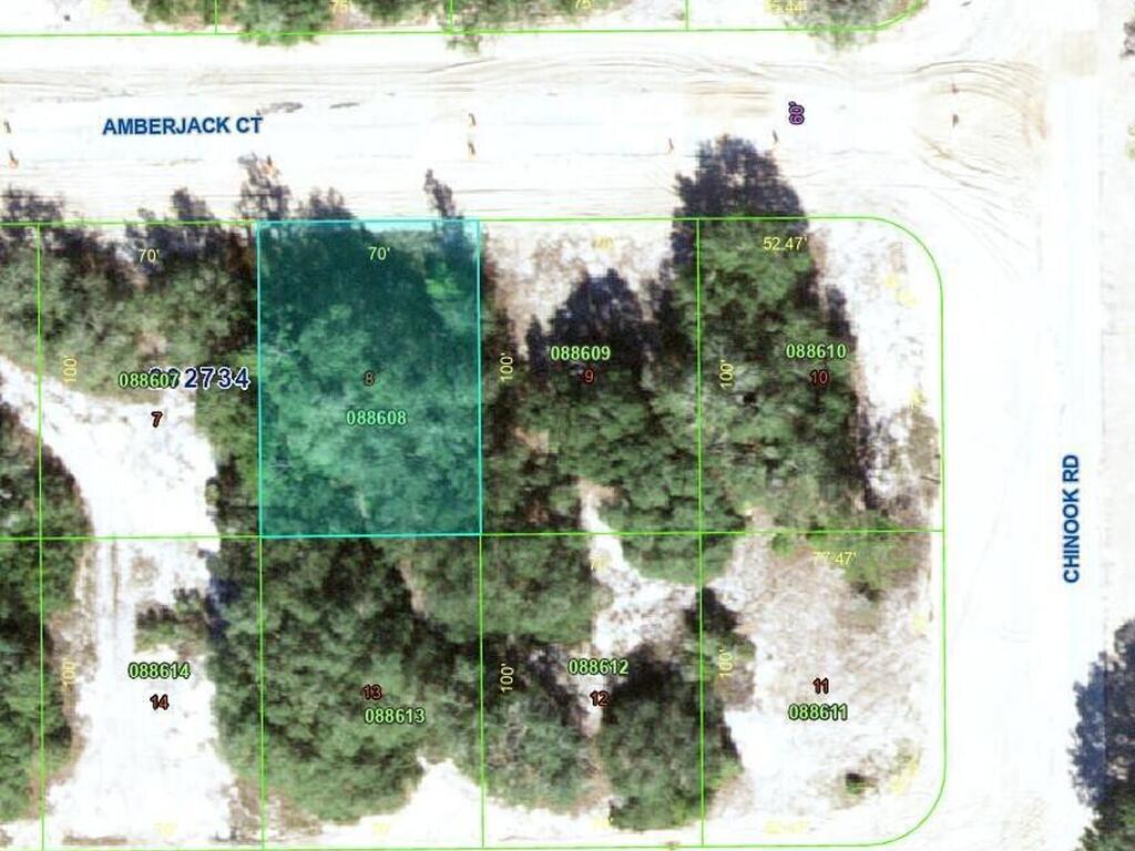 377 Amberjack Court, Poinciana, FL 34759