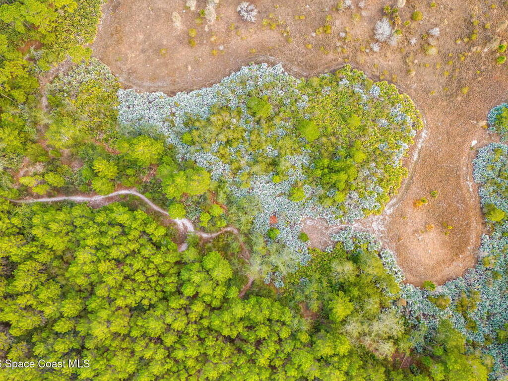 1305 Pemberton Trail, Malabar, FL 32950