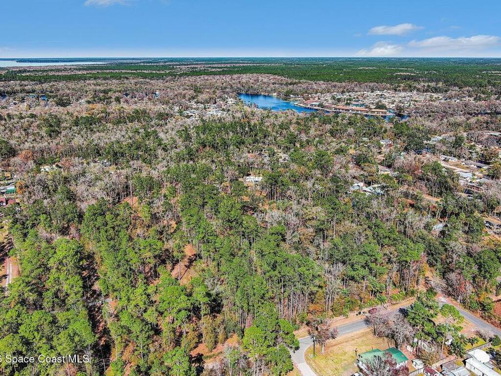 24421 Trespass Trail, Astor, FL 32102