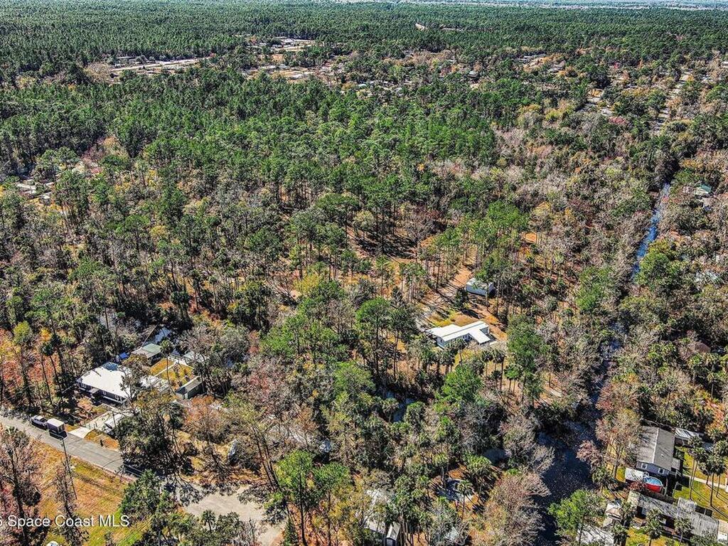 24421 Trespass Trail, Astor, FL 32102