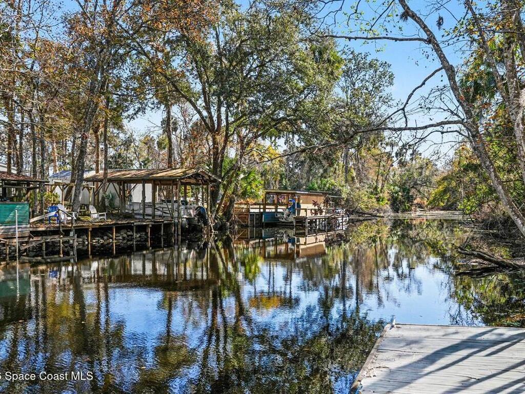 24421 Trespass Trail, Astor, FL 32102