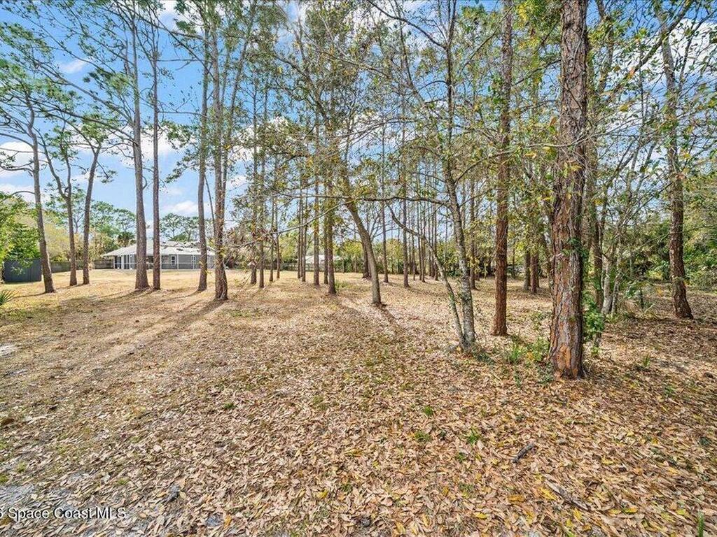 4520 White Road, Melbourne, FL 32934