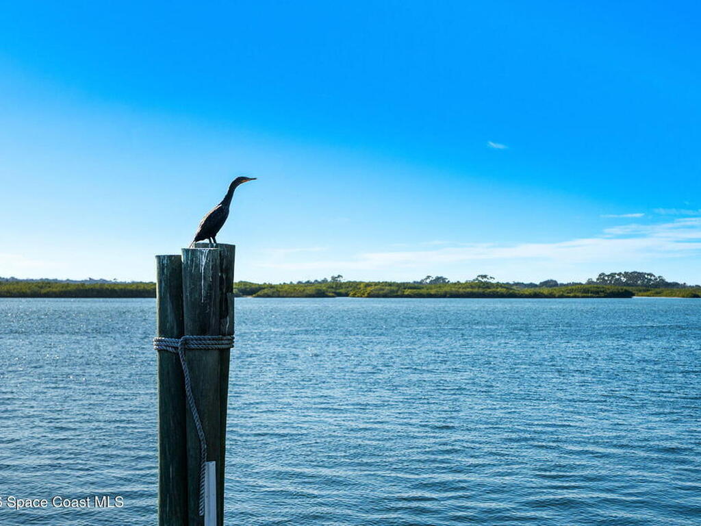 4828 S Peninsula Drive, Ponce Inlet, FL 32127