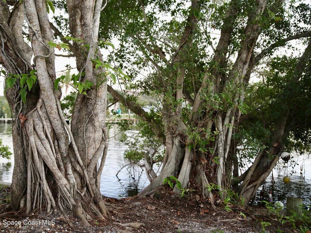 124 Aucila Road, Cocoa Beach, FL 32931