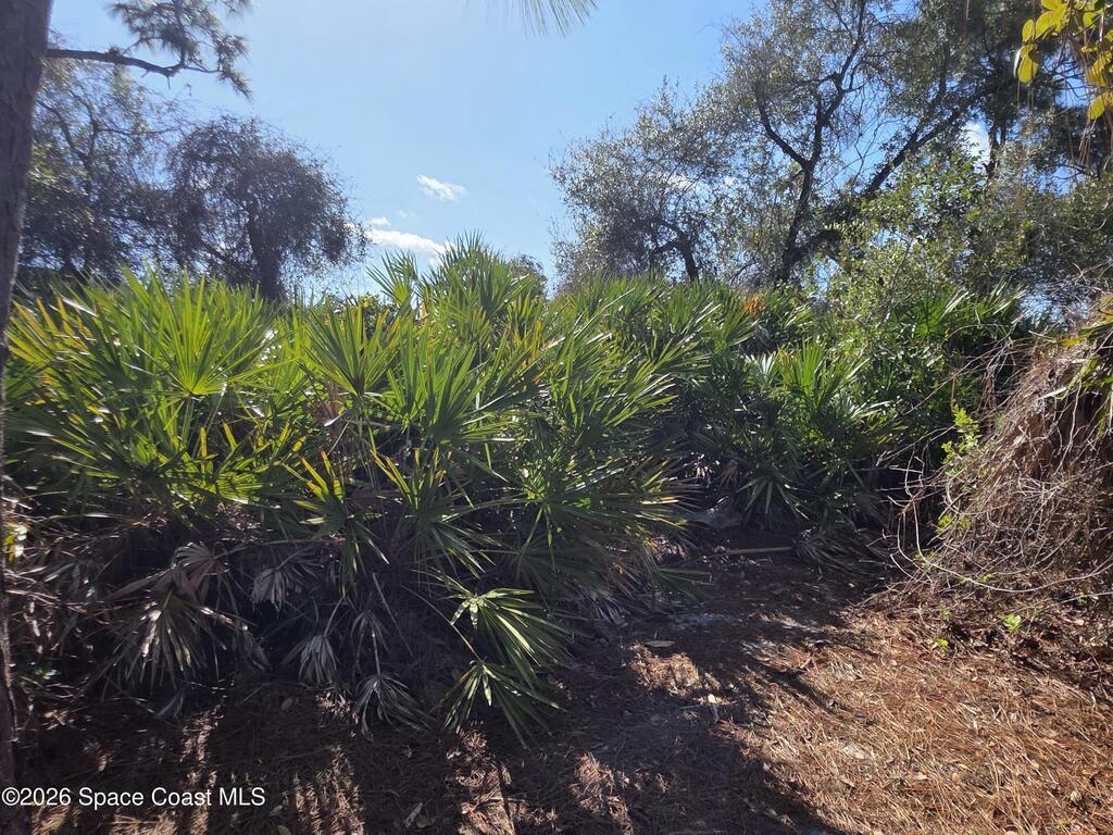 770 Montrose Street, Palm Bay, FL 32909