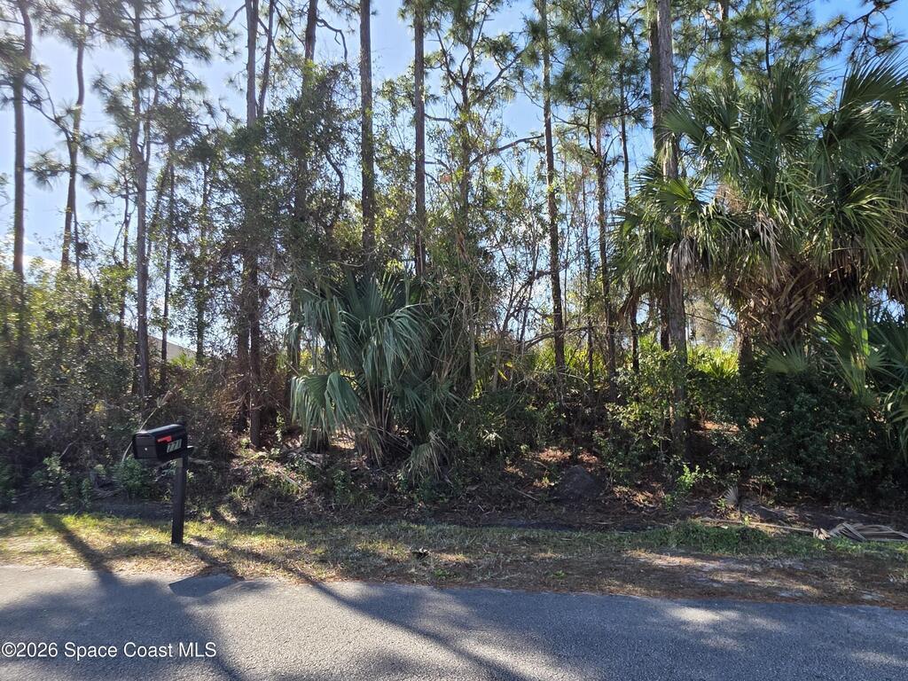 770 Montrose Street, Palm Bay, FL 32909