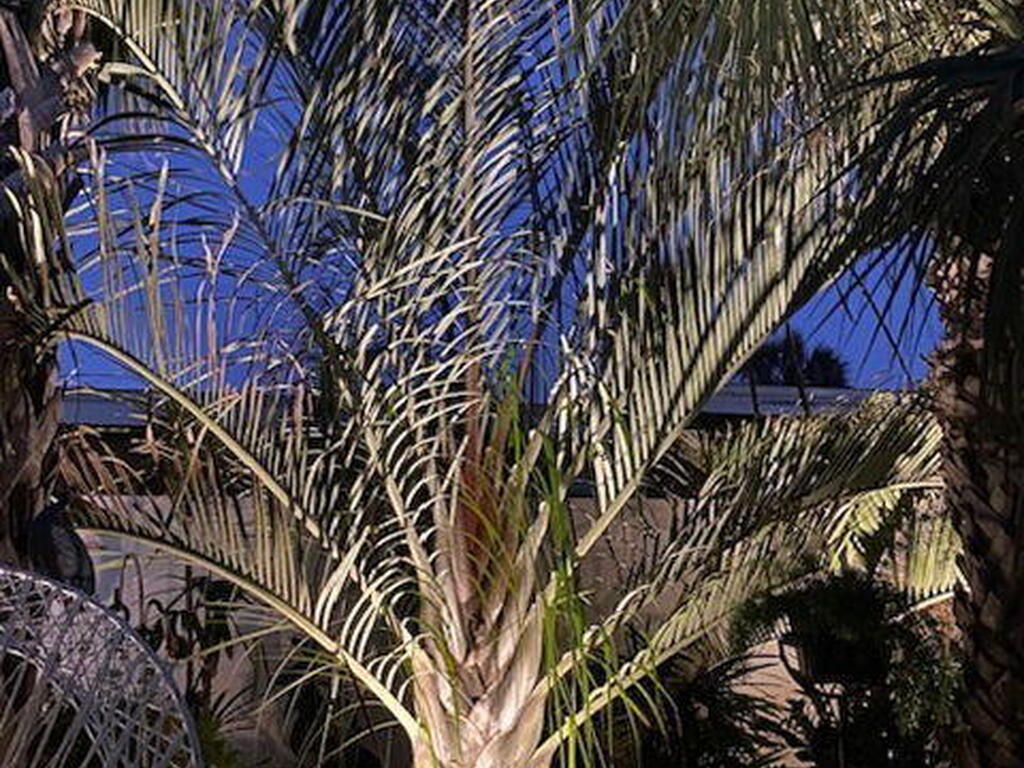 260 Garfield Avenue, Cocoa Beach, FL 32931