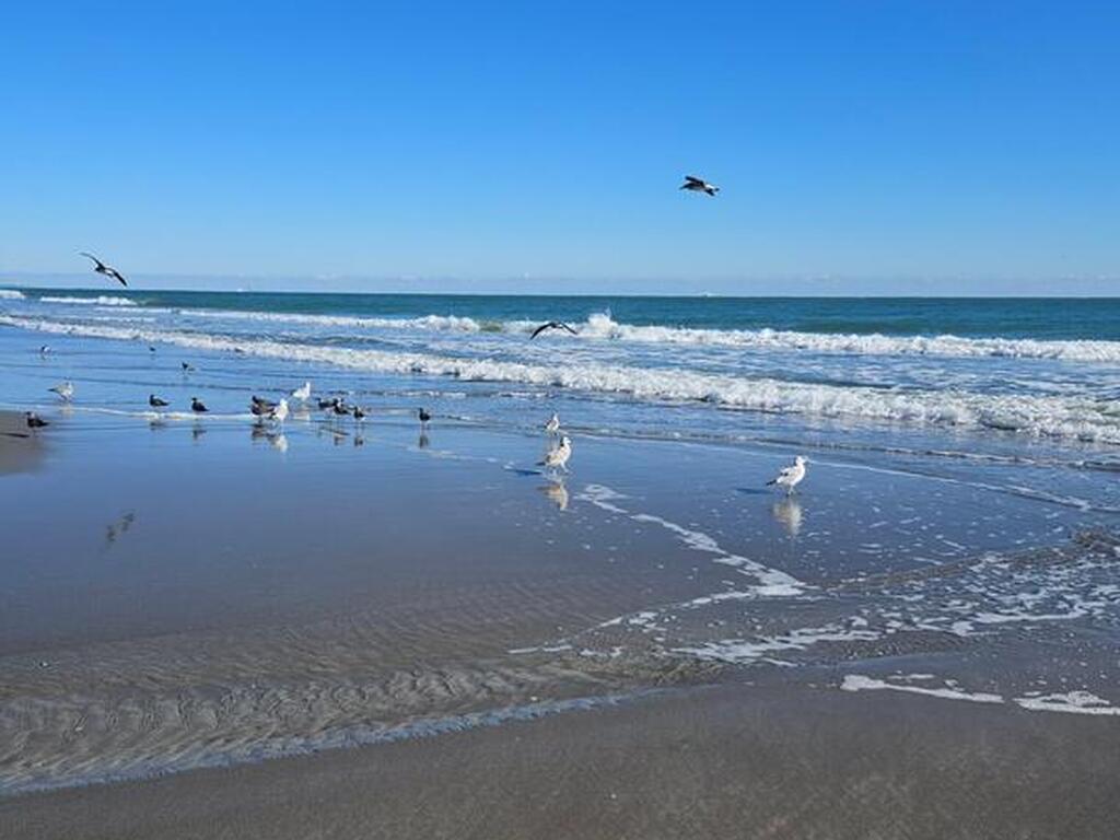 1700 S Atlantic Avenue, Cocoa Beach, FL 32931