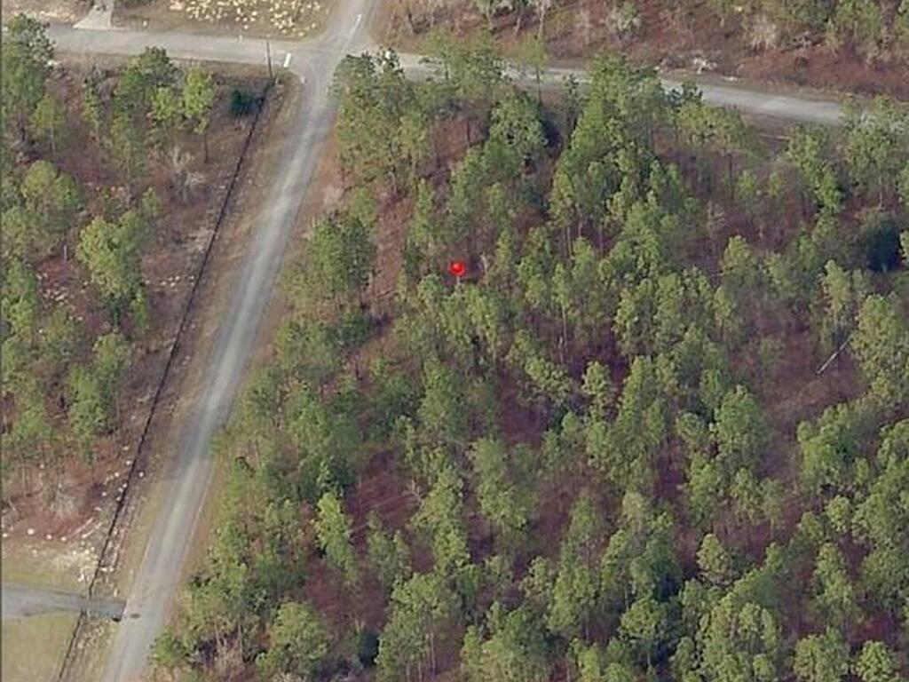000 NW Amberjack Avenue, Dunnellon, FL 34432