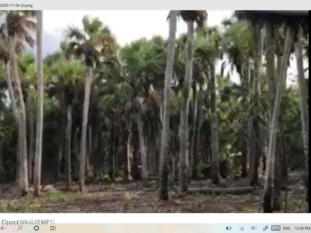 O00 E Unknown, Merritt Island, FL 32953
