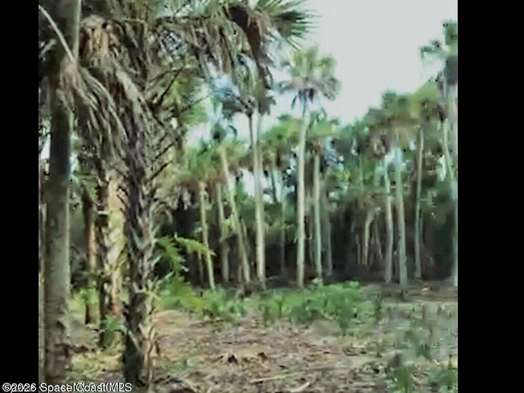 O00 E Unknown, Merritt Island, FL 32953