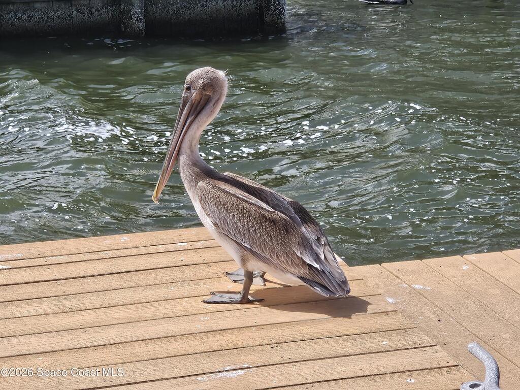 540 S Banana River Drive, Merritt Island, FL 32952