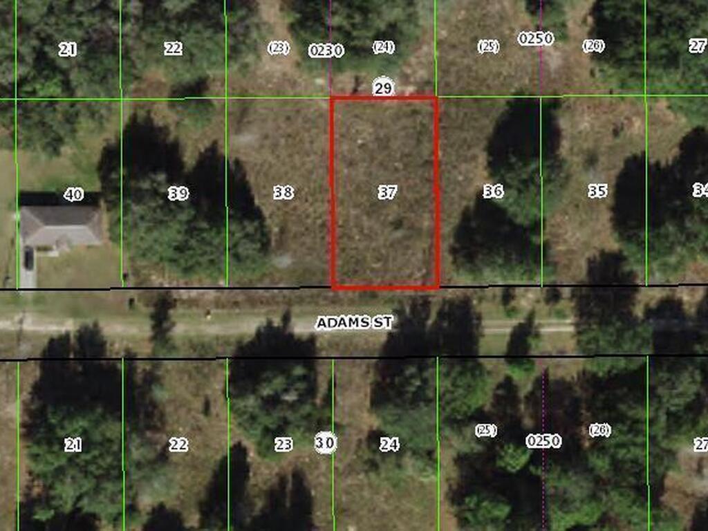 2216 Adams Street, Inverness, FL 34453